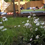 Hostel Costel Timisoara