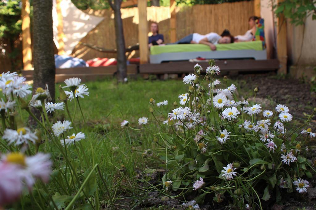 Hostel Costel Timişoara